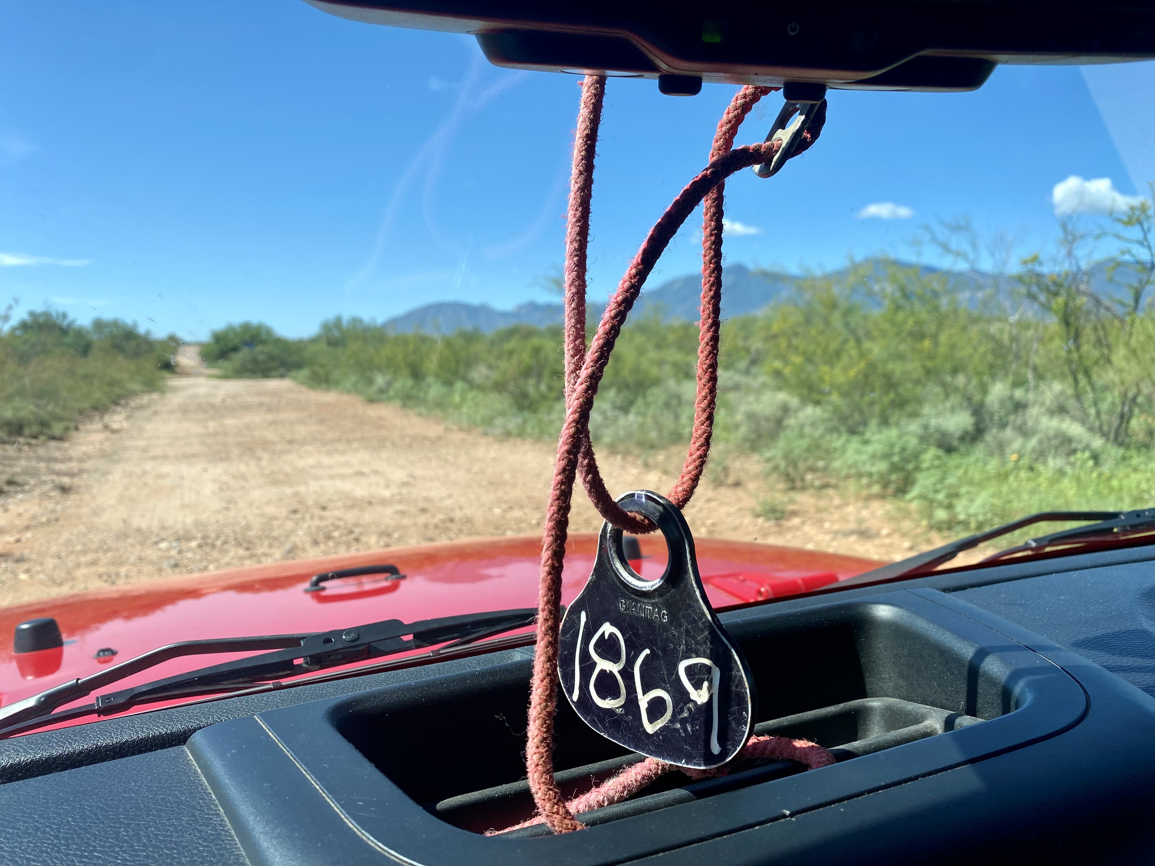 BLOG No1 The Mustang Myth